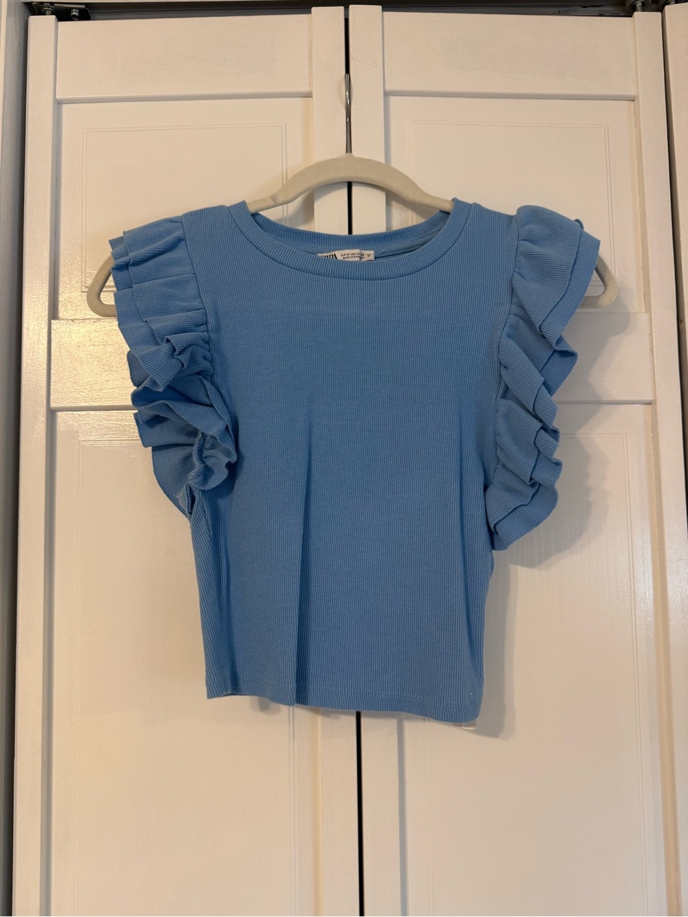 Zara Women’s Blue Ruffle Sleeve Knit Top